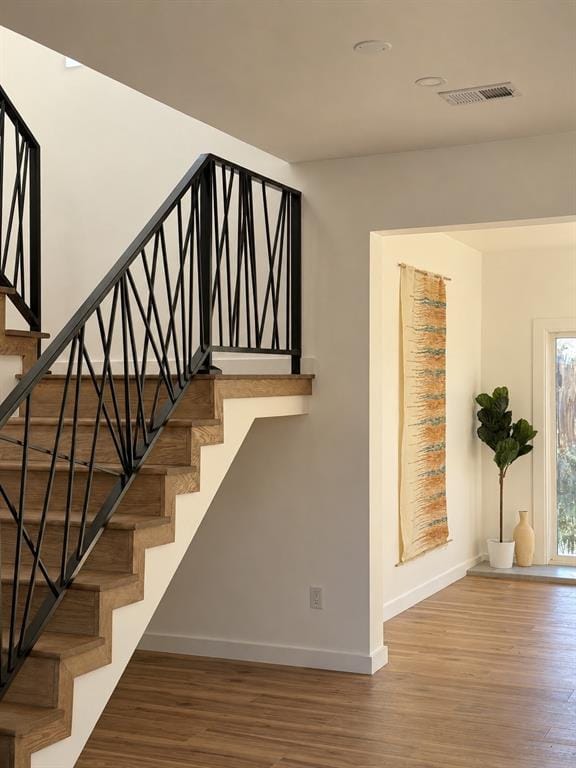 802 Azalia Drive, Lewisville TX 75067 - Photo 15