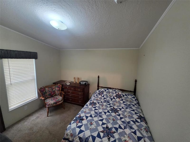 237 High Bluff Drive, Bridgeport TX 76426 - Photo 15