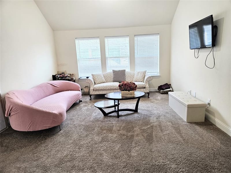 608 Jagged Way, Plano TX 75074 - Photo 25
