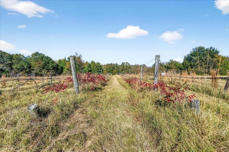 1603 VZ CR 2908, Eustace TX 75124 - Photo 22