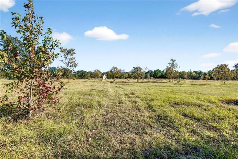 1603 VZ CR 2908, Eustace TX 75124 - Photo 24