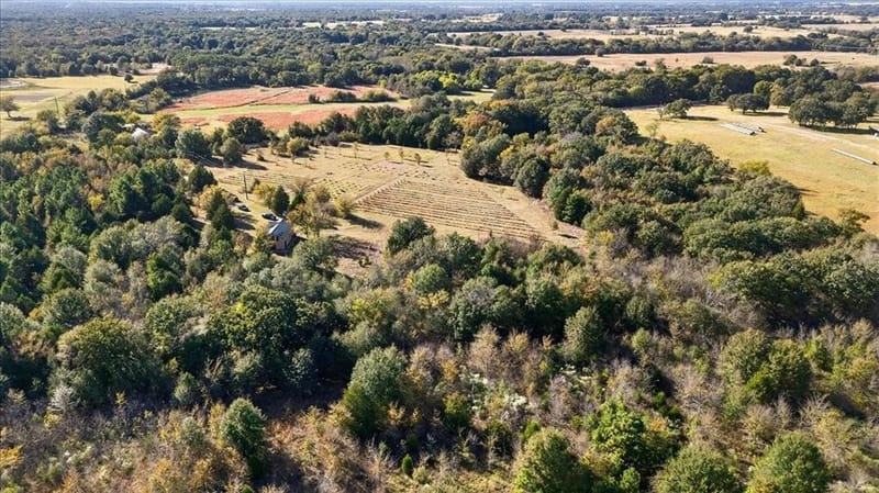 1603 VZ CR 2908, Eustace TX 75124 - Photo 30
