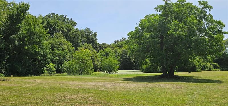 812 N Waldrip Street, Grand Saline TX 75140 - Photo 6