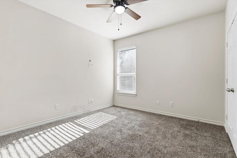 1738 Summerwood Lane, Cedar Hill TX 75104 - Photo 24