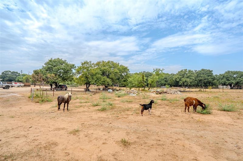 2212 Acton Highway, Granbury TX 76049 - Photo 25