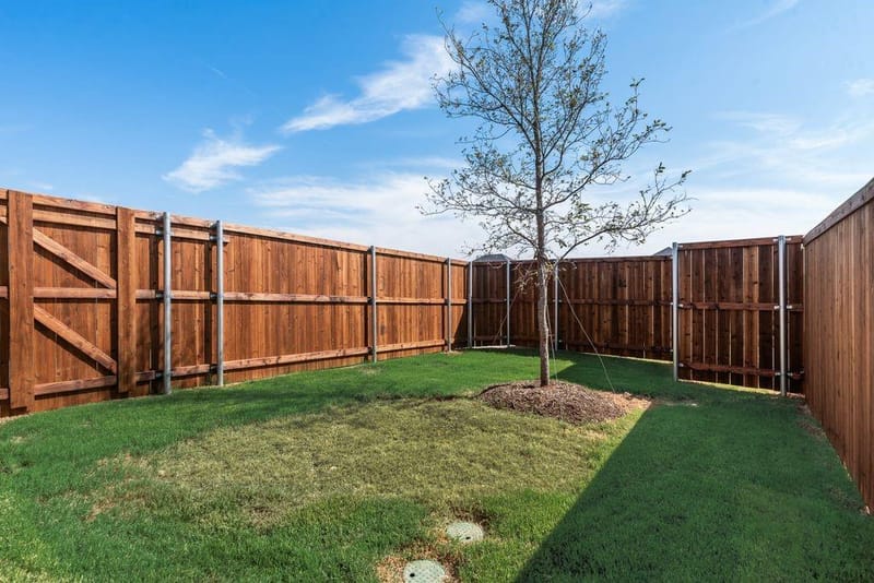 3116 Buckeye Street, Celina TX 75009 - Photo 29