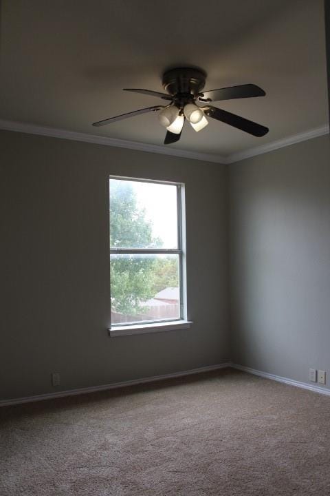 4601 Napa Valley Drive, Denton TX 76226 - Photo 13