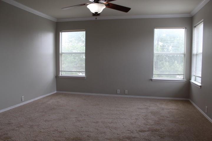 4601 Napa Valley Drive, Denton TX 76226 - Photo 7