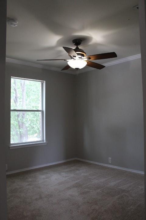 4601 Napa Valley Drive, Denton TX 76226 - Photo 10