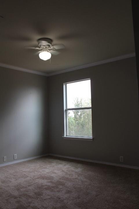 4601 Napa Valley Drive, Denton TX 76226 - Photo 11