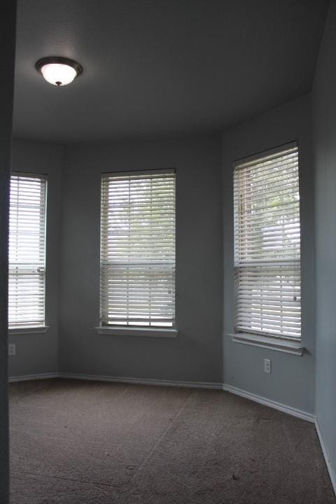 11520 Starlight Ranch Trail, Fort Worth TX 76052 - Photo 12
