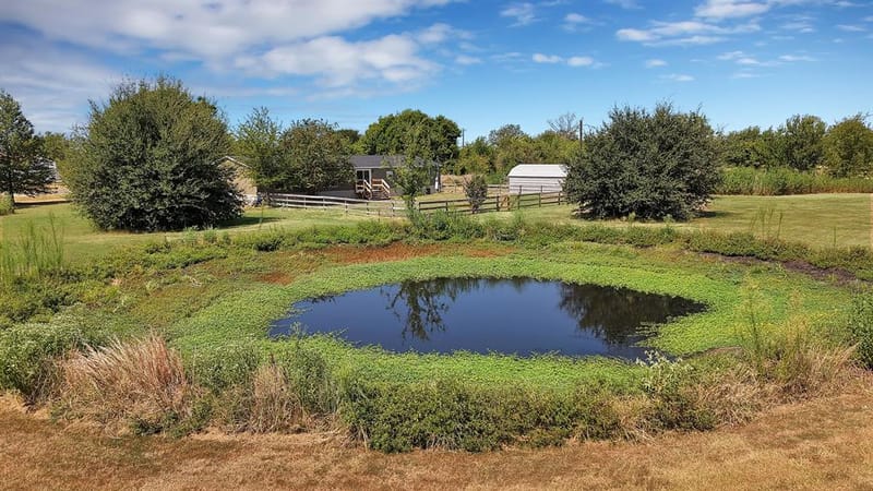 9159 County Road 2584, Royse City TX 75189 - Photo 33