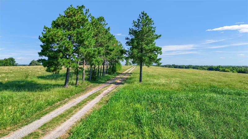 1200 County Road 1215, Savoy TX 75479 - Photo 7