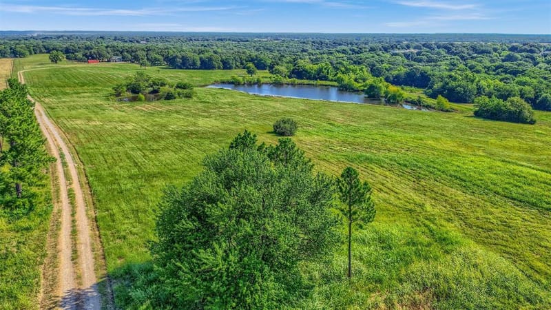 1200 County Road 1215, Savoy TX 75479 - Photo 36