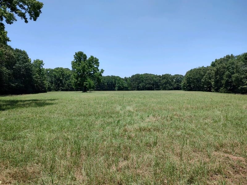 1061 County Road 1807, Yantis TX 75497 - Photo 30