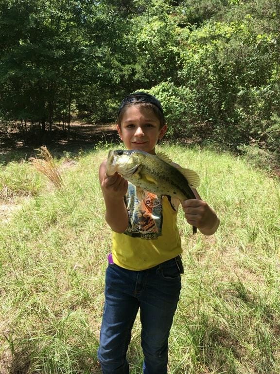 1061 County Road 1807, Yantis TX 75497 - Photo 34