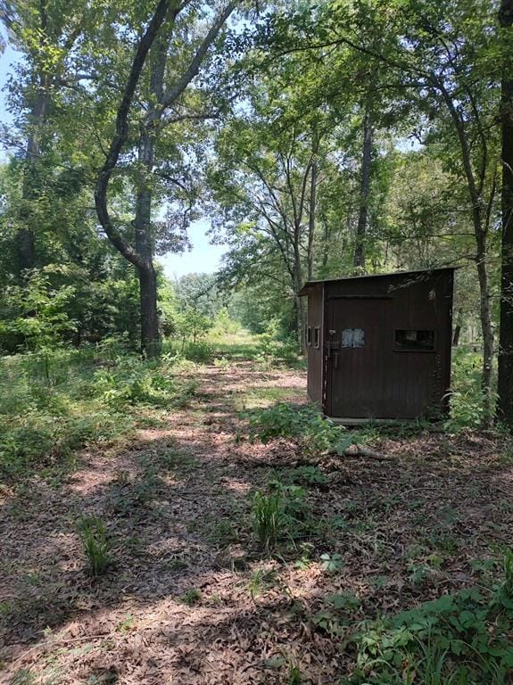 1061 County Road 1807, Yantis TX 75497 - Photo 35