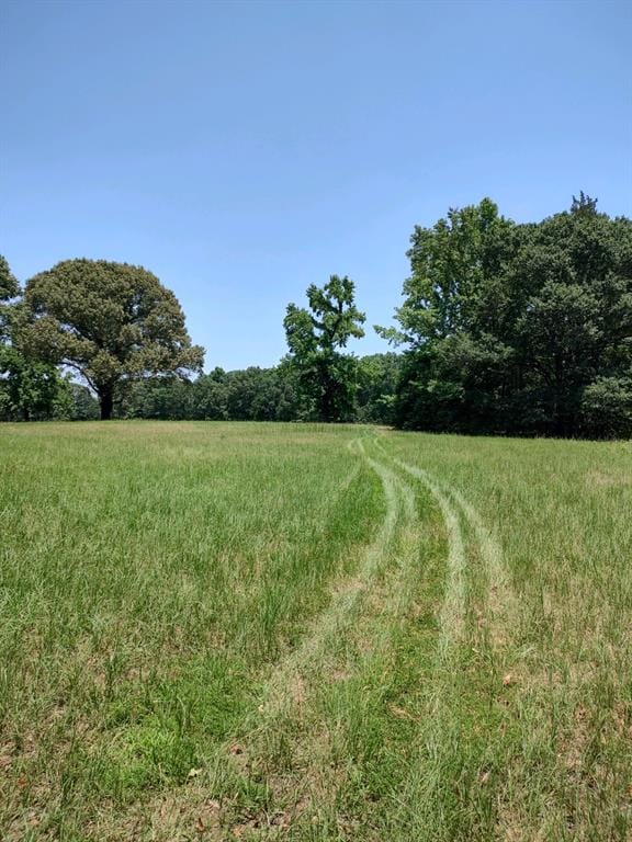 1061 County Road 1807, Yantis TX 75497 - Photo 31