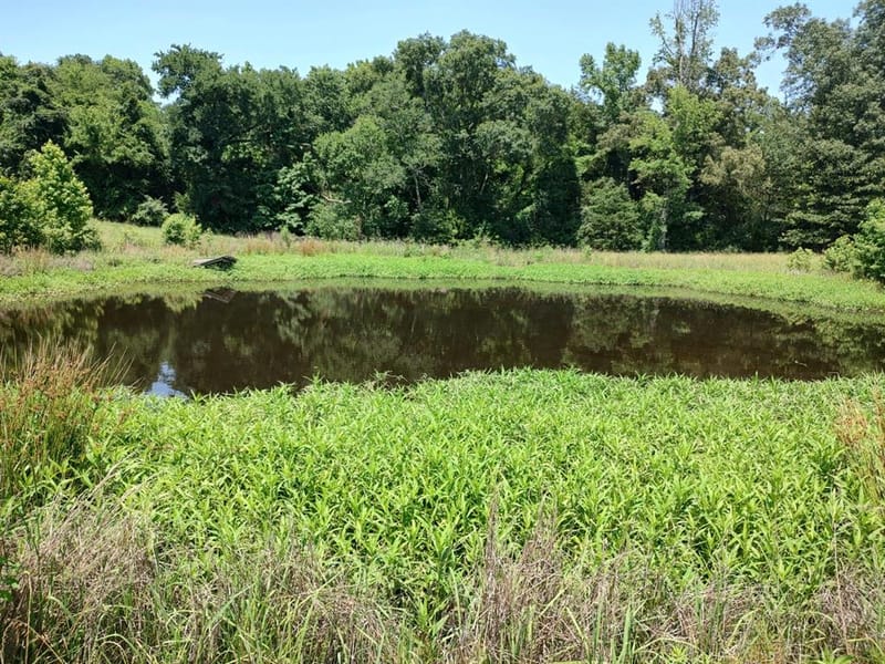1061 County Road 1807, Yantis TX 75497 - Photo 39
