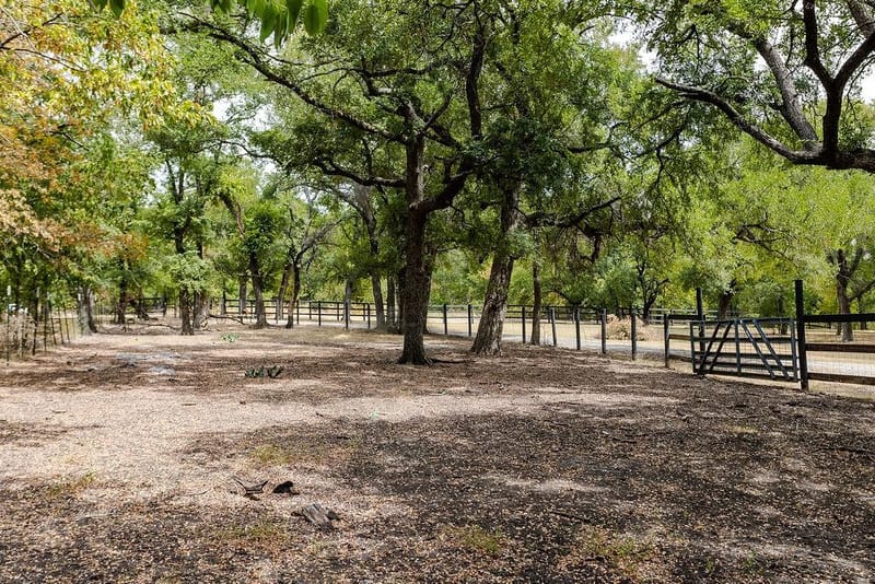 5927 Wolf Trail, Celina TX 75009 - Photo 26