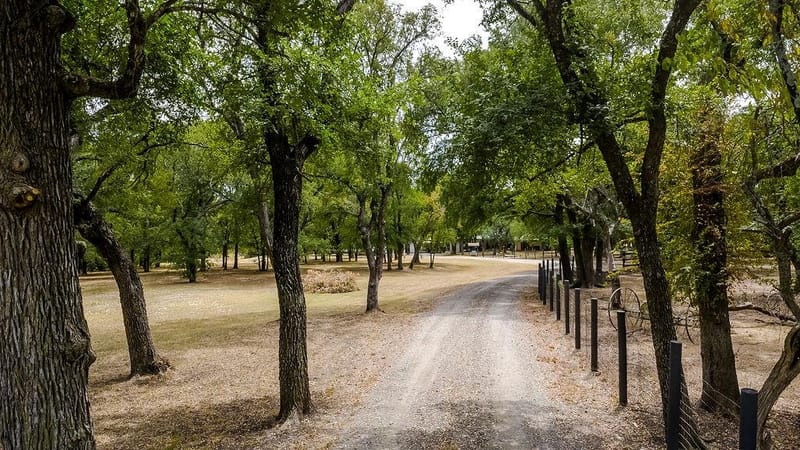 5927 Wolf Trail, Celina TX 75009 - Photo 24