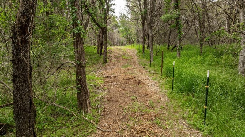 2523 County Road 218, Hico TX 76457 - Photo 6