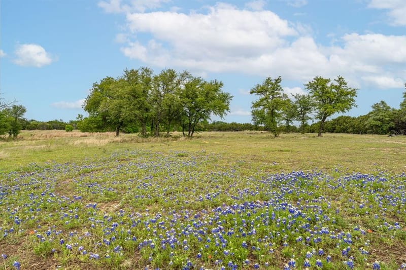 2523 County Road 218, Hico TX 76457 - Photo 7