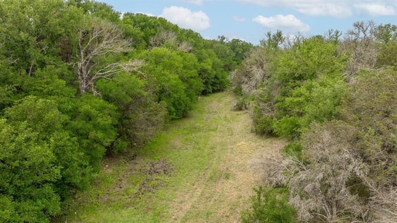 2523 County Road 218, Hico TX 76457 - Photo 20