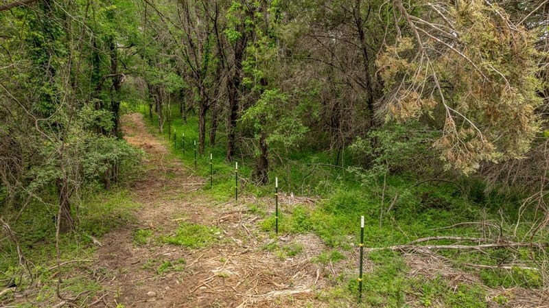 2523 County Road 218, Hico TX 76457 - Photo 24