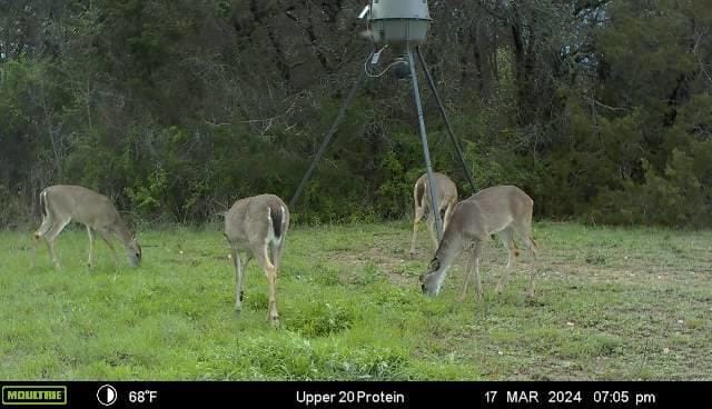 2523 County Road 218, Hico TX 76457 - Photo 34