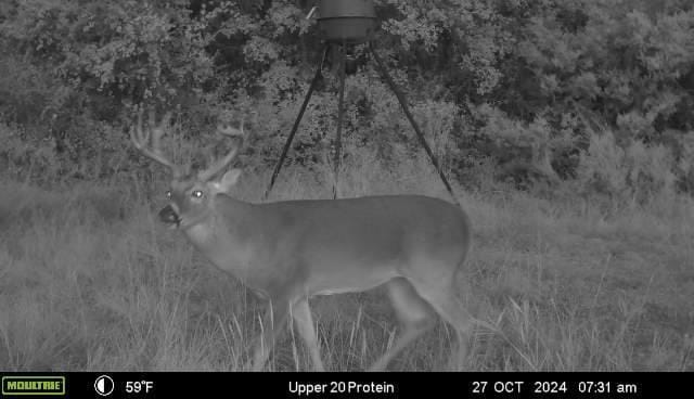 2523 County Road 218, Hico TX 76457 - Photo 33