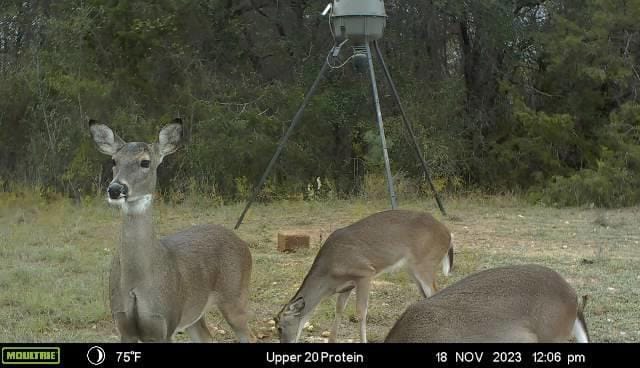2523 County Road 218, Hico TX 76457 - Photo 35