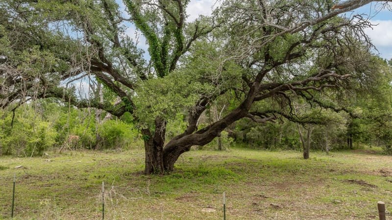 2523 County Road 218, Hico TX 76457 - Photo 29