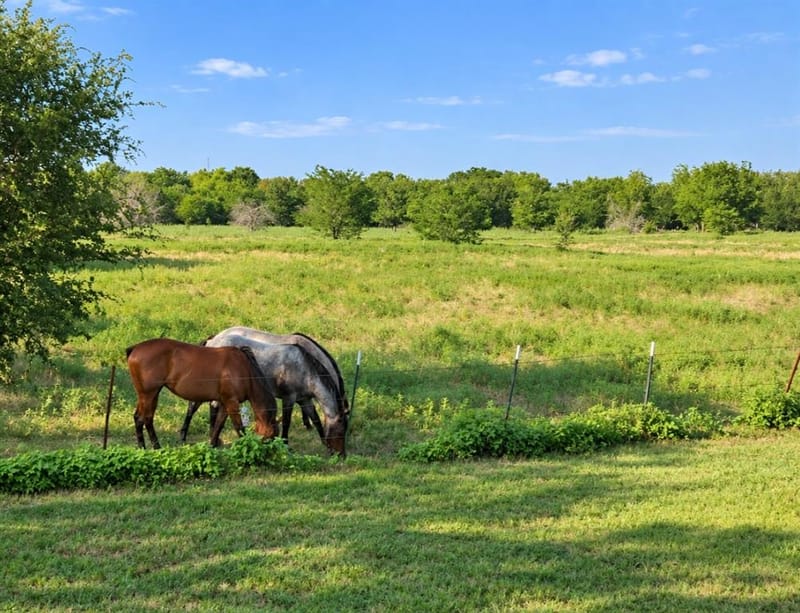 1476 Private Road 2268, Quinlan TX 75474 - Photo 6