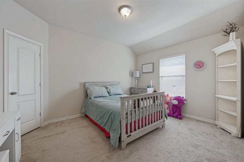 2009 Michelle Creek Drive, Little Elm TX 75068 - Photo 5