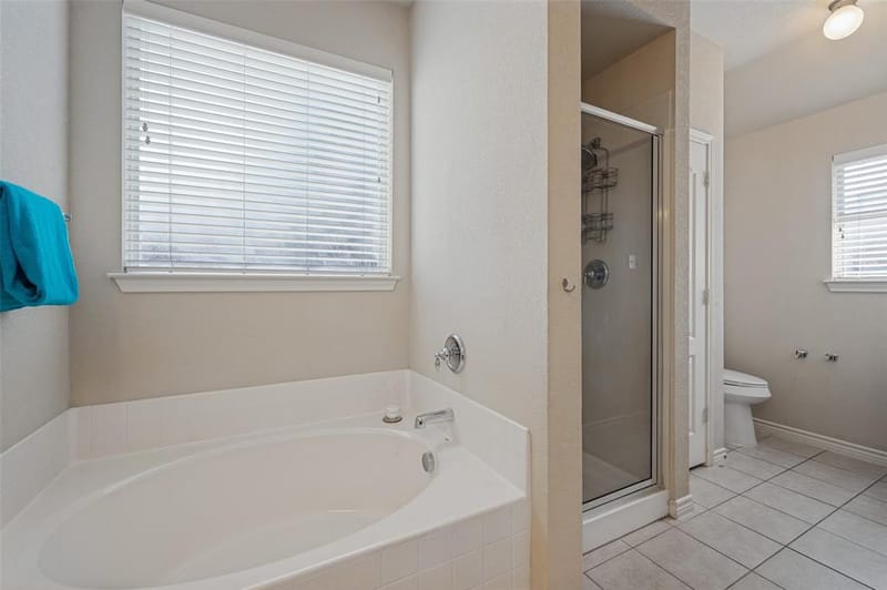 2009 Michelle Creek Drive, Little Elm TX 75068 - Photo 19
