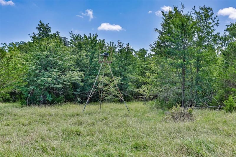 574 County Road 134, Gainesville TX 76240 - Photo 15