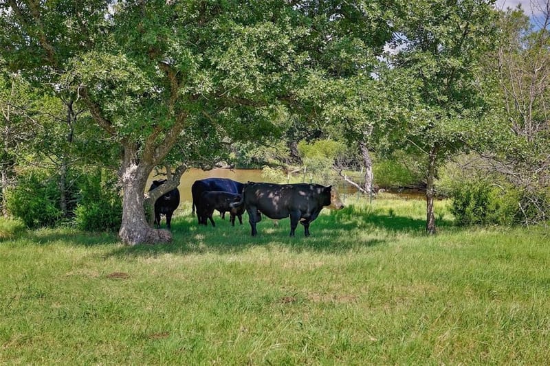 574 County Road 134, Gainesville TX 76240 - Photo 19