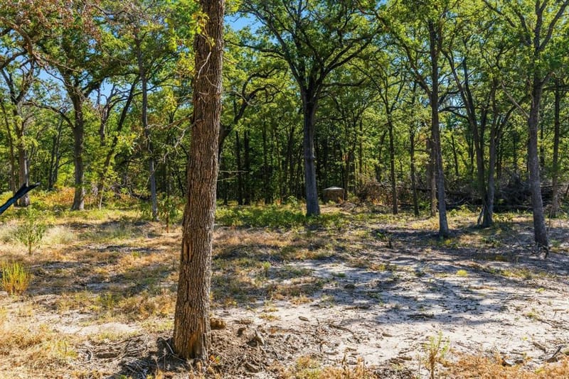 3291 County Road 3116, Lone Oak TX 75453 - Photo 34