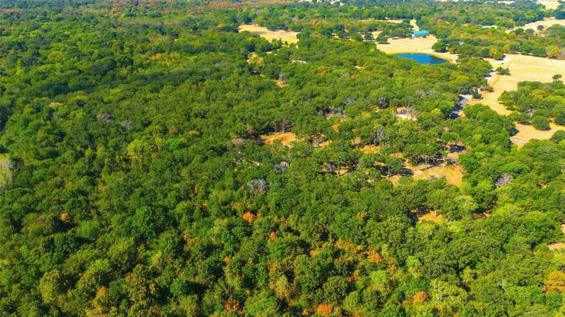 3291 County Road 3116, Lone Oak TX 75453 - Photo 37