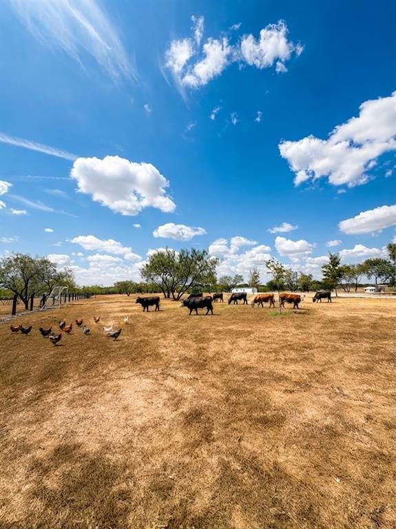 6049 County Road 1030 B, Rice TX 75155 - Photo 10