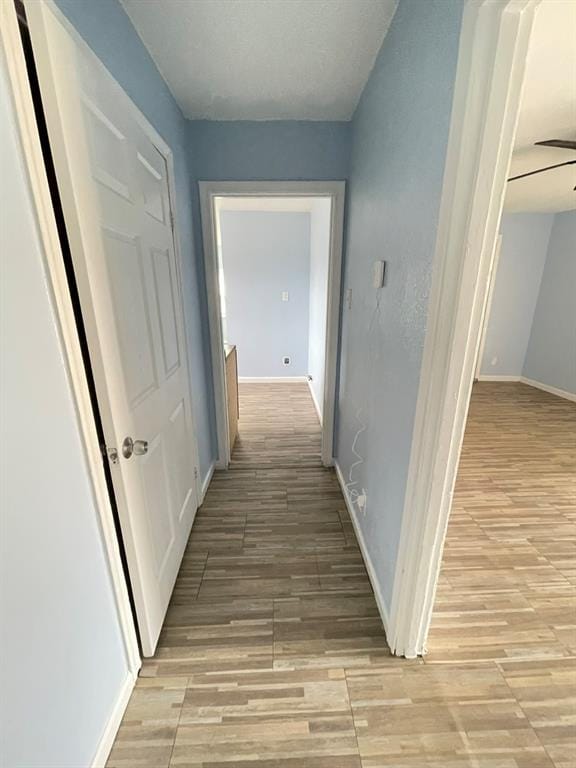 3010 Modree Avenue, Dallas TX 75216 - Photo 12