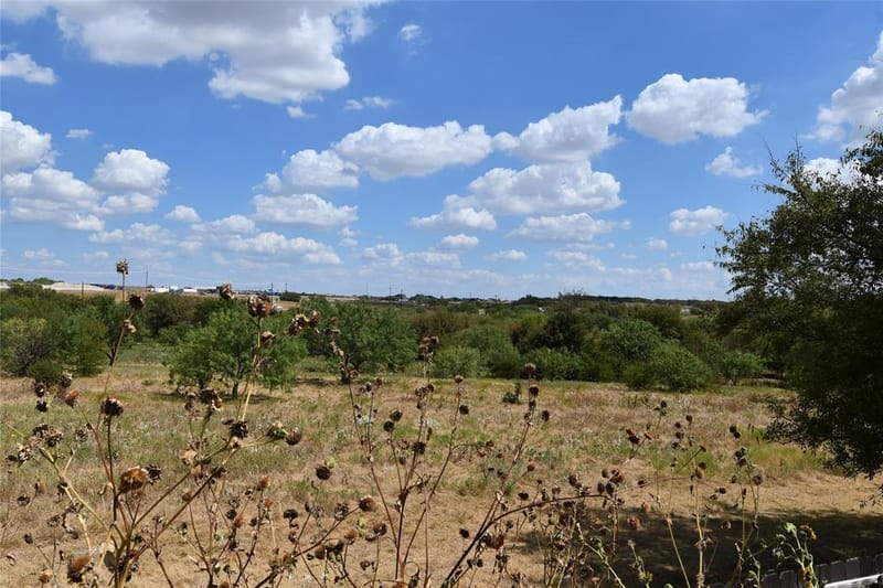215 Dodge City Trail, Newark TX 76071 - Photo 10
