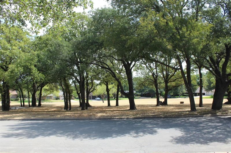 115 Sandra Palmer Street, Stephenville TX 76401 - Photo 39