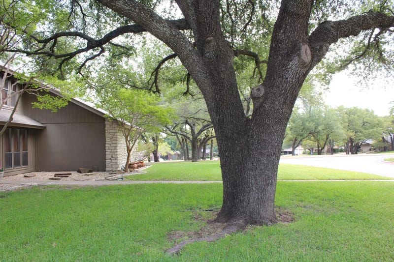 115 Sandra Palmer Street, Stephenville TX 76401 - Photo 4