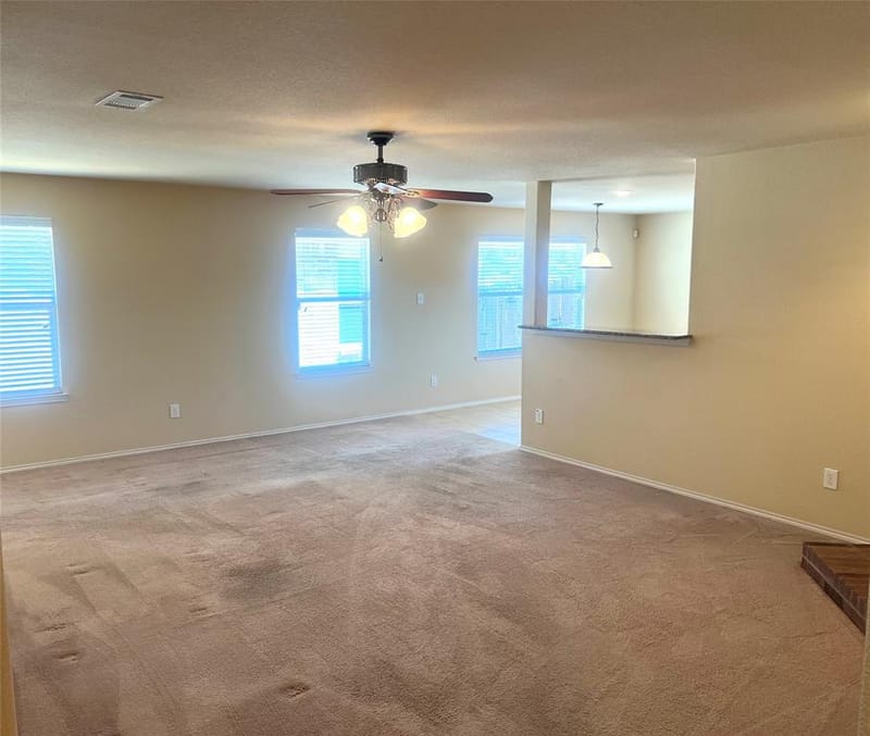 1417 Lone Pine Drive, Little Elm TX 75068 - Photo 13