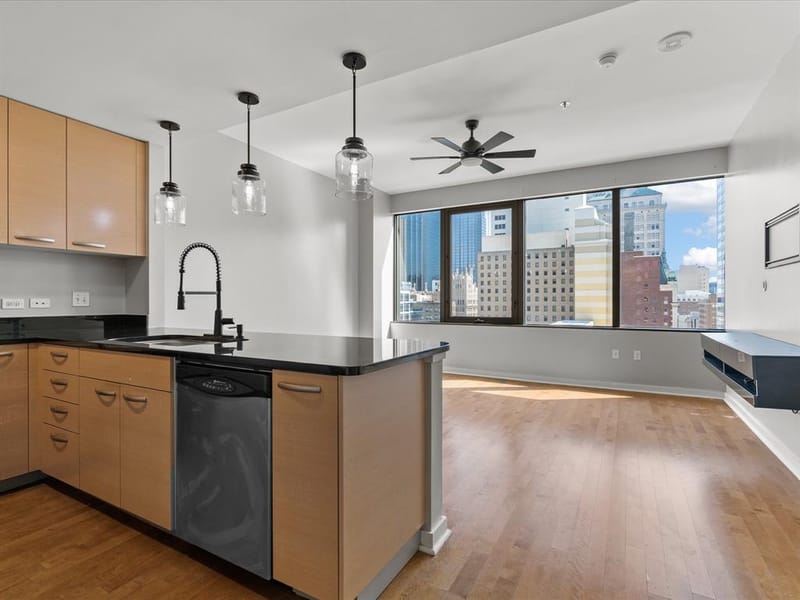 1200 Main Street # 1612, Dallas TX 75202 - Photo 4