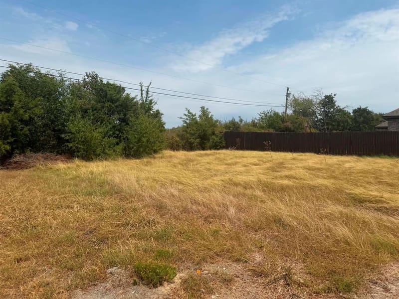 228 Skiff Drive, Gun Barrel City TX 75156 - Photo 15