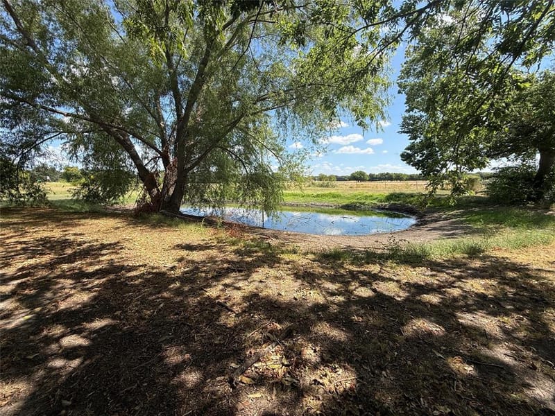 4411 Fm 100, Honey Grove TX 75446 - Photo 5