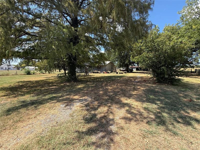 4411 Fm 100, Honey Grove TX 75446 - Photo 4